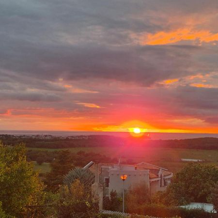 Apartman Dobrec Poreč Kültér fotó
