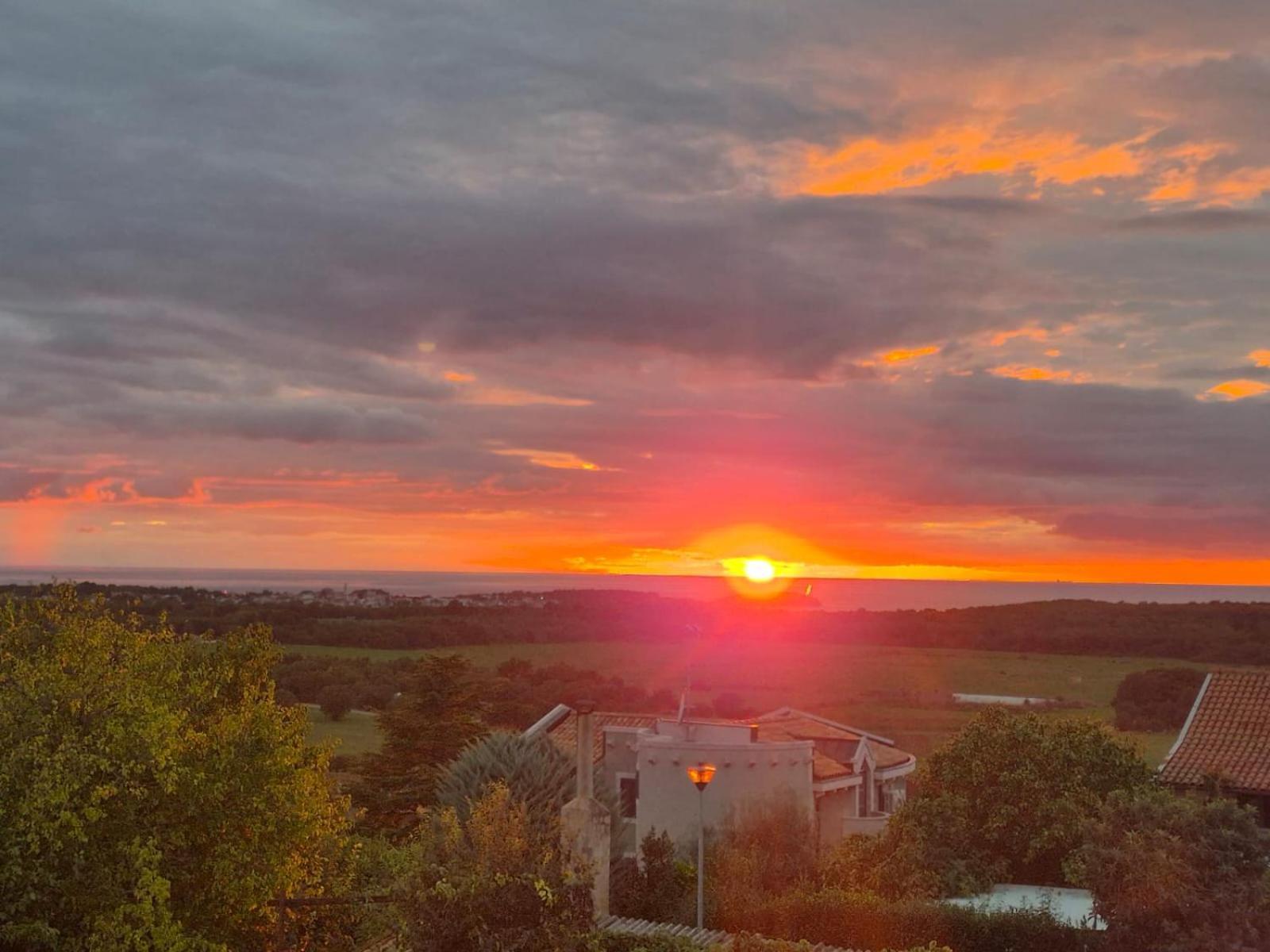 Apartman Dobrec Poreč Kültér fotó